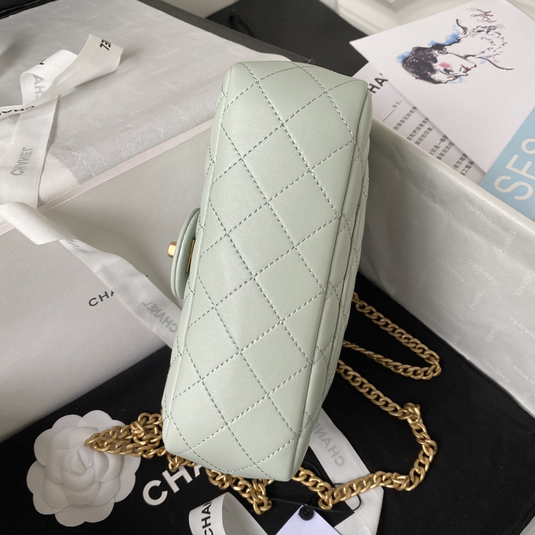 Small Classic Flap Lambskin Bag AS4041 Light Green